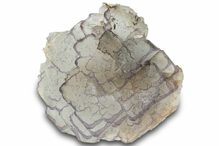 Purple Edge Fluorite - Qinglong Mine, China #295068